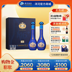 洋河 梦之蓝M6+礼盒 45度550mL 双支装
