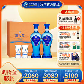 洋河 海之蓝礼盒(2018版) 52度480mL双支装 浓香型白酒