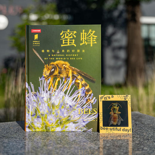 普林斯顿大学生物图鉴：蜜蜂，讲述蜜蜂物种及其生态学特征，含两万种蜜蜂，辅以照片与插图对代表物种进行深度解析 昆虫科普生物图鉴 商品图0