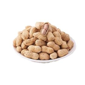 花生（散）（500±20g）