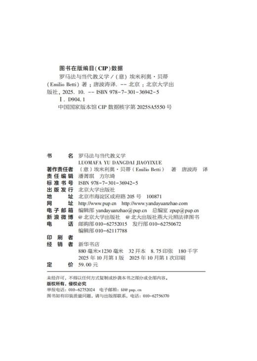 罗马法与当代教义学  埃米利奥·贝蒂（Emilio Betti） 著  唐波涛 译  商品图2