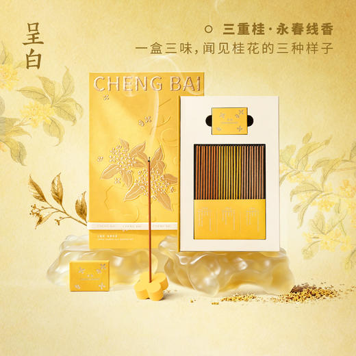 呈白金桂线香 满堂皆桂香气悠悠 百万鲜桂花凝1公斤桂花浸膏 冥想抄经静心养气净化空间异味【礼盒款：线香+线插】 商品图4
