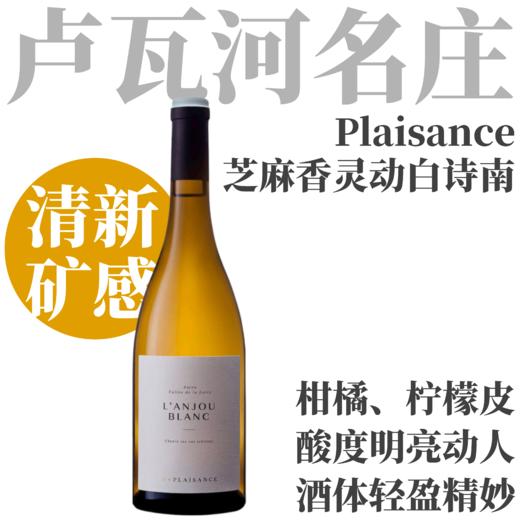 【TS91入门即惊艳·芝麻香灵动白诗南】2023 愉悦酒庄安茹干白葡萄酒  Chateau de Plaisance L'Anjou Blanc 商品图0