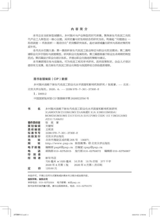 乡村振兴战略下新生代农民工职业化水平测度和影响机制研究  张英 著  北京大学出版社 商品图2
