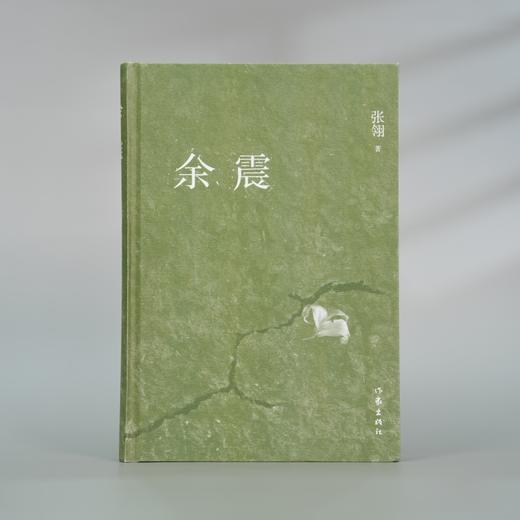 余震(纪念版) 张翎 商品图2