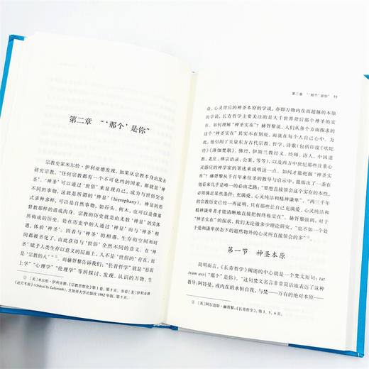 永恒的智慧：长青哲学论略 商品图9