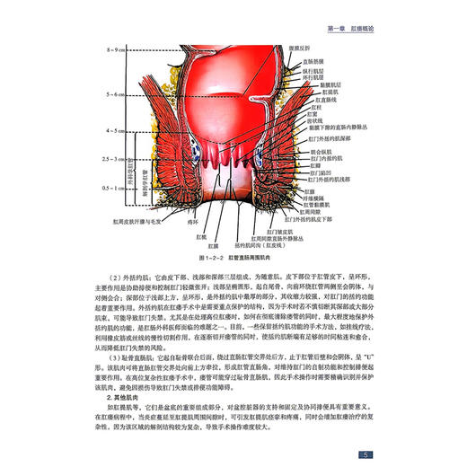 肛瘘影像临床分型治略 张华 曾求辉 周会明 饶驭 主编 肛瘘概论 肛瘘的分型及影像学诊断等 9787523529294 科学技术文献出版社 商品图4