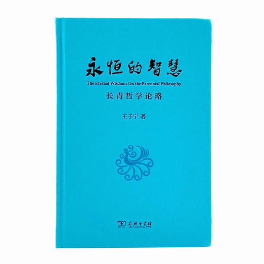 永恒的智慧：长青哲学论略 商品图2