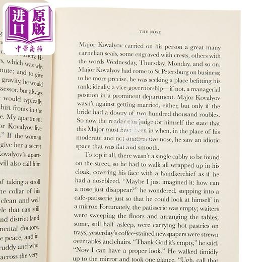【中商原版】尼古拉果戈里 地球将坐在月球上 重要故事 And the Earth Will Sit on the Moon 英文原版 Nikolai Gogol 商品图2