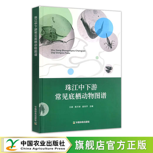 珠江中下游常见底栖动物图谱 商品图0