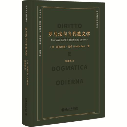 罗马法与当代教义学  埃米利奥·贝蒂（Emilio Betti） 著  唐波涛 译  商品图0
