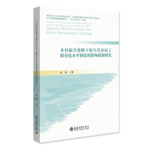 乡村振兴战略下新生代农民工职业化水平测度和影响机制研究  张英 著  北京大学出版社 商品图0