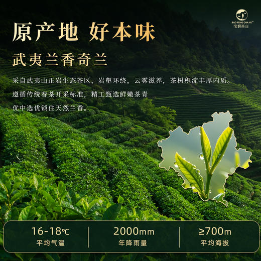 【宝枫茶业】兰香奇兰250g  盒装包邮 商品图2