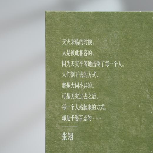 余震(纪念版) 张翎 商品图4