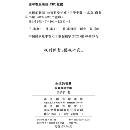 永恒的智慧：长青哲学论略 商品图1