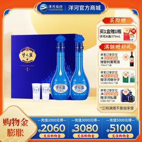 洋河 梦之蓝M6礼盒 45度500mL 双支装