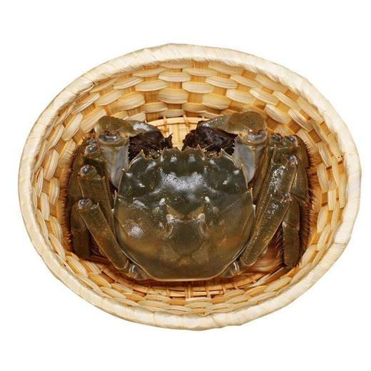 【鲜活】苏州阳澄湖镇六月黄河蟹（只） 商品图1