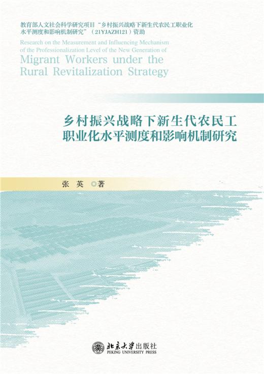 乡村振兴战略下新生代农民工职业化水平测度和影响机制研究  张英 著  北京大学出版社 商品图1