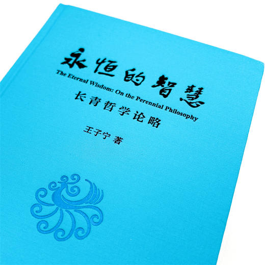 永恒的智慧：长青哲学论略 商品图6