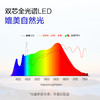欧普AAAAA级双芯全光谱护眼台灯灯阅读书桌宿舍学习灯学生T形台灯尚明 商品缩略图2