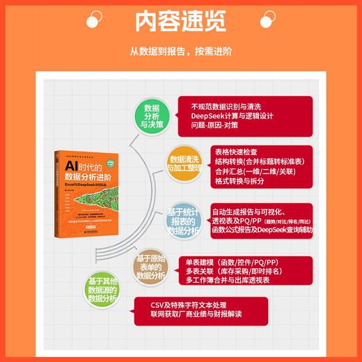 AI时代的数据分析进阶——Excel与DeepSeek协同实战 商品图5
