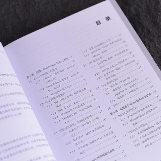 企业级高并发Agent实战 CloudWeGo Eino工程化落地 多智能体协作算法工程师企业级agent 商品图1