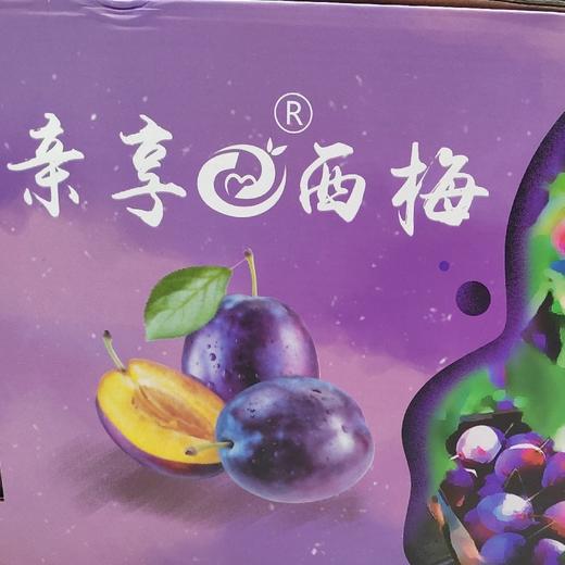 亲享西梅 商品图0