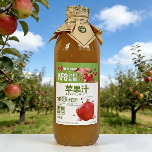 风趣1L苹果汁 商品图0