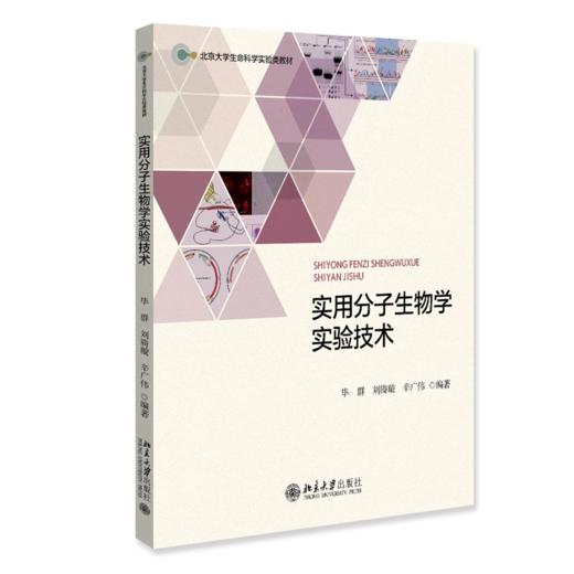 教材 实用分子生物学实验技术 毕群 刘旖璇 辛广伟 编著  北京大学出版社 商品图0