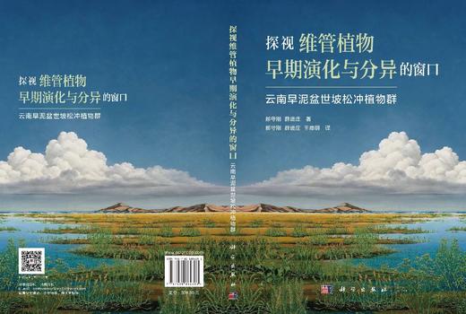 探视维管植物早期演化与分异的窗口：云南早泥盆世坡松冲植物群 郝守刚 薛进庄 郝守刚 薛进庄 王德明 9787030864383 商品图3