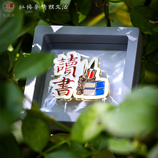 红楼梦周边文创读书胸针励志文字奖品送学生新创意励志勋章徽章 商品图1