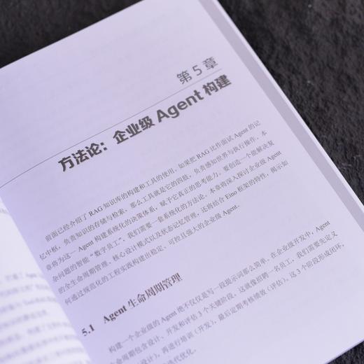 企业级高并发Agent实战 CloudWeGo Eino工程化落地 多智能体协作算法工程师企业级agent 商品图2