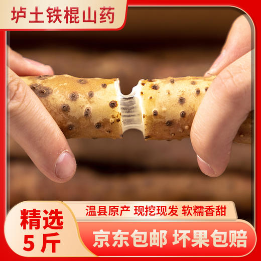 【京东直发】2026温县垆土新鲜铁棍山药原产地发货5斤装（预售9.5日前发货，送红枣） 商品图4