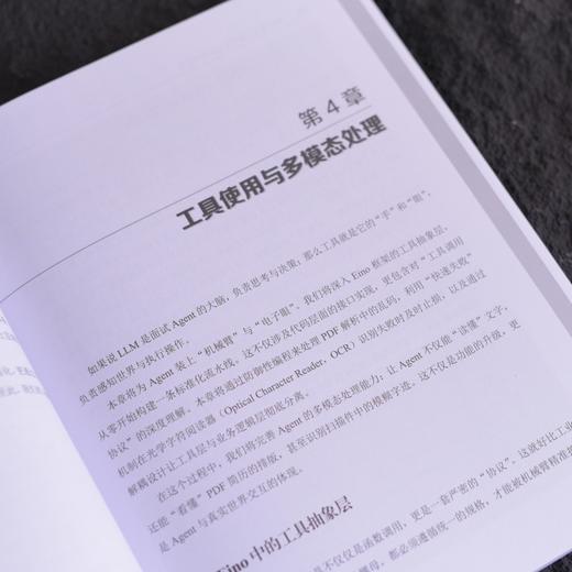 企业级高并发Agent实战 CloudWeGo Eino工程化落地 多智能体协作算法工程师企业级agent 商品图3