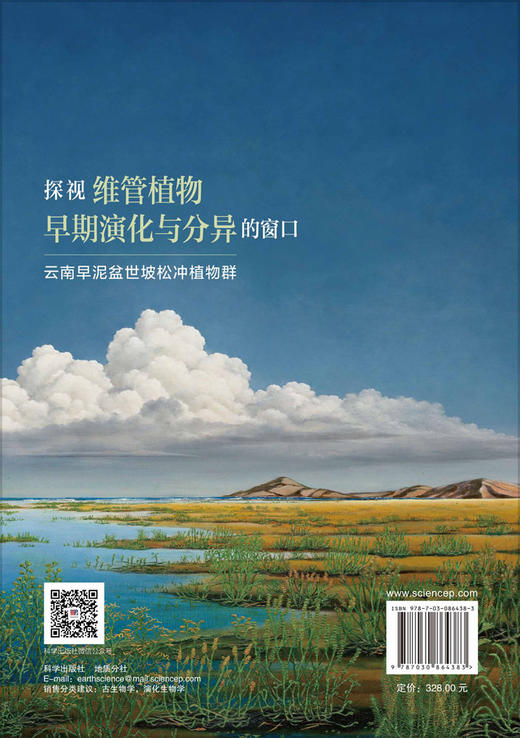 探视维管植物早期演化与分异的窗口：云南早泥盆世坡松冲植物群 郝守刚 薛进庄 郝守刚 薛进庄 王德明 9787030864383 商品图1