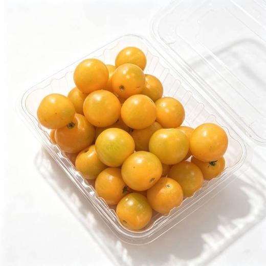 千禧小柿子黄（份） 商品图0