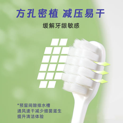 【深层清洁 温和护齿】YIBAO怡宝 万根绒感牙刷 高密植毛设计 深入牙缝清洁残渣 20支/盒 商品图3