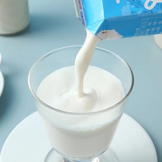 麦德龙 麦臻选 青海高原3.6纯牛奶 250ml*6/12 商品图3