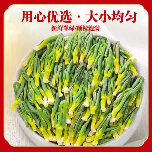 【色泽鲜嫩 自然原生】硕果田间 莲子心茶 汤色澄澈透亮 入口味苦而后回甘 60g/罐 商品图2