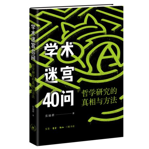 学术迷宫40问：哲学研究的真相与方法 商品图1