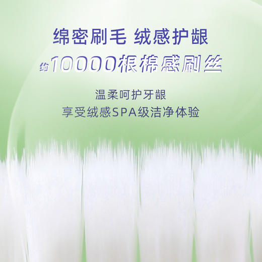 【深层清洁 温和护齿】YIBAO怡宝 万根绒感牙刷 高密植毛设计 深入牙缝清洁残渣 20支/盒 商品图1
