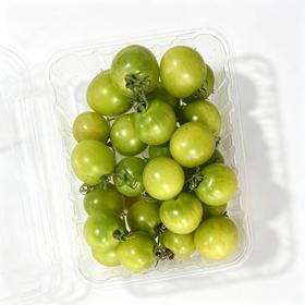 果丽多青口蜜（份）小番茄