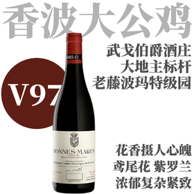 【V97·邦玛特级园大地主标杆之作】2023 武戈伯爵酒庄邦尔玛特级园干红  Domaine Comte Georges de Vogue Bonnes-Mares Grand Cru