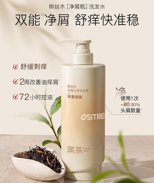 【门店好物】柳丝木黑茶控油蓬松洗发露 商品图1