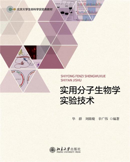 教材 实用分子生物学实验技术 毕群 刘旖璇 辛广伟 编著  北京大学出版社 商品图1