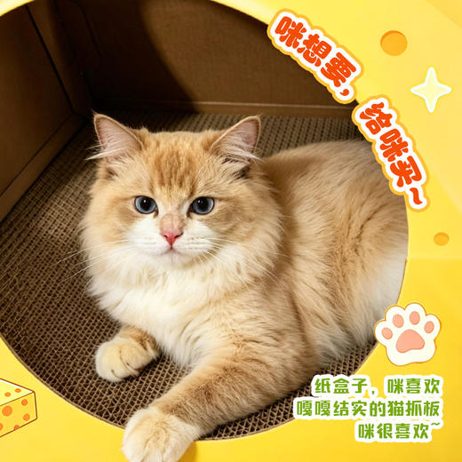 【百草味】大巨型零食大礼包（奶酪猫窝）2019g 商品图2