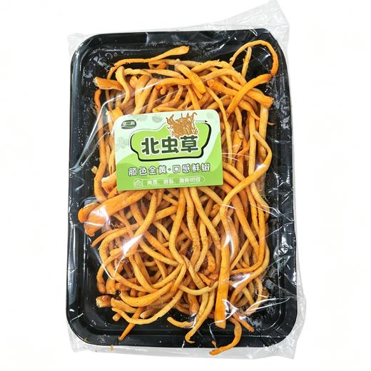 北虫草（份） 商品图1