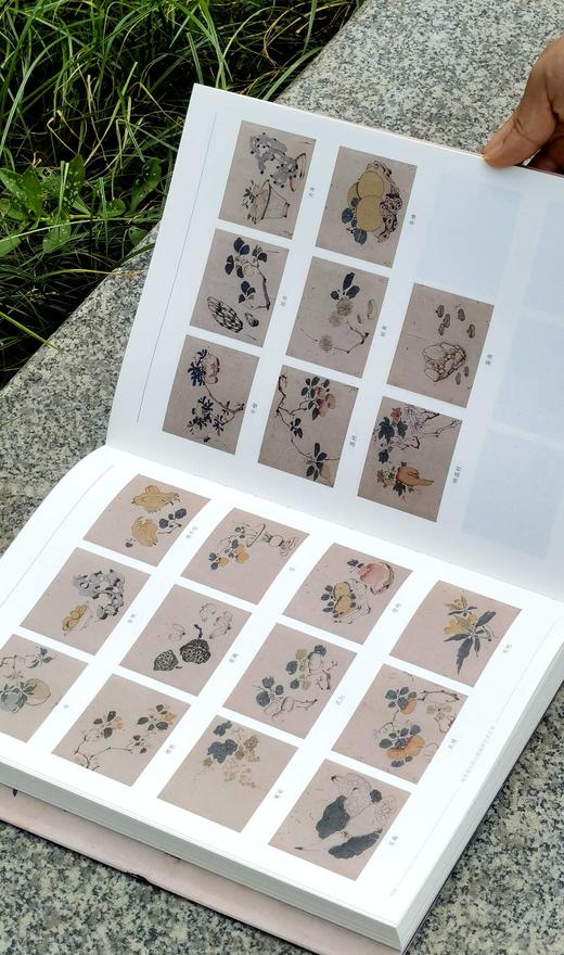【重磅特惠】《海外藏中国古籍插图艺术汇萃》，16开，精装，全8册，吴浚、李艾东主编，深圳出版社2025年12月一版一印，2408页，定价2990，售价1199元。 商品图11