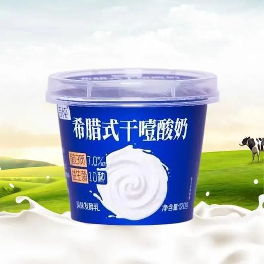 吉纯120g希腊式干噎酸奶 商品图2