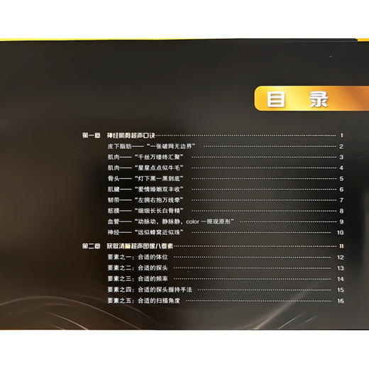 亮视角：神经肌骨超声技巧 何亮亮 赵文星 崔晓红 主编 49个讲解技巧的视频 以全新视角融合超声声像图等内容 科学技术文献出版社 商品图3